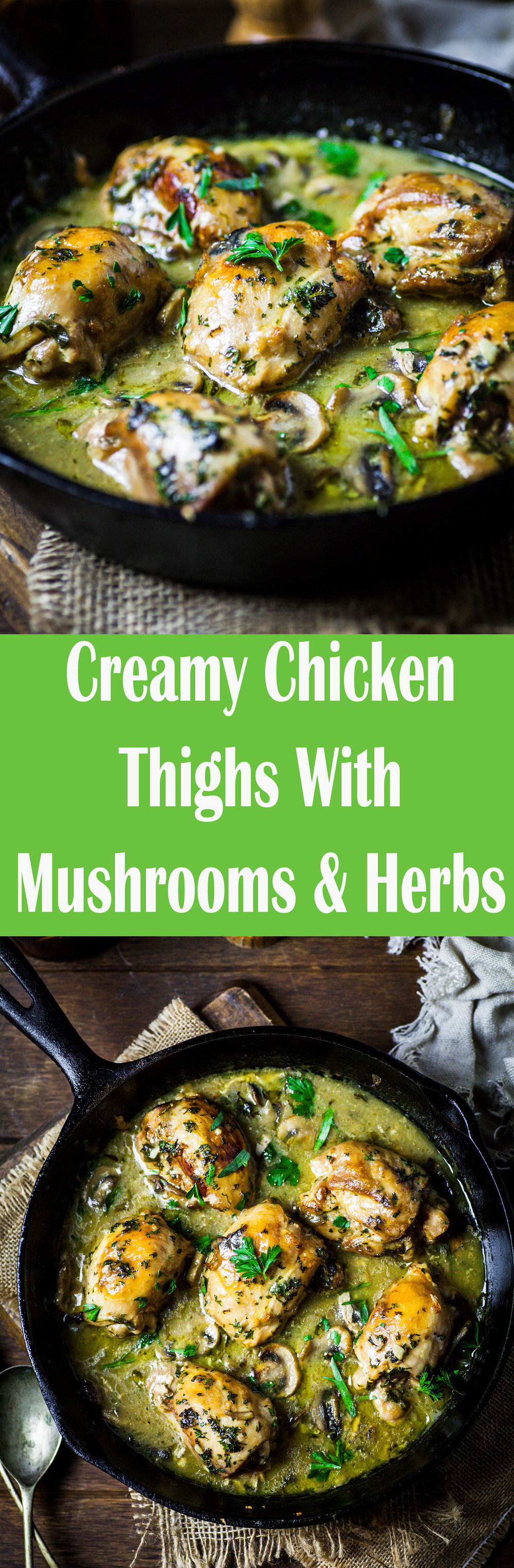 Creamy Chicken Thighs With Mushrooms & Herbs {DF, GF}